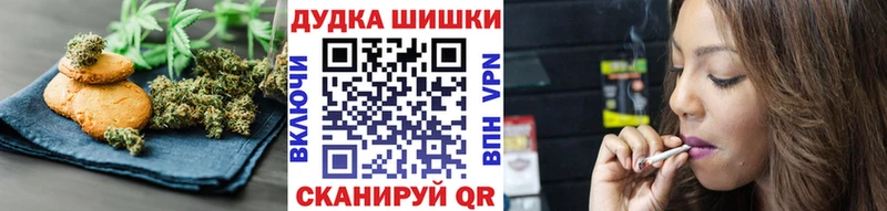 дарнет шоп  Сухой Лог  Canna-Cookies конопля 