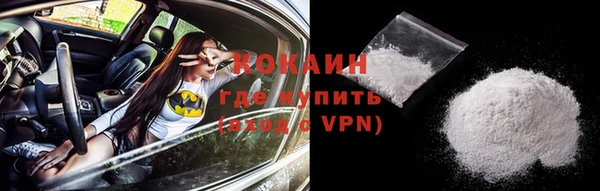 шишки Абаза