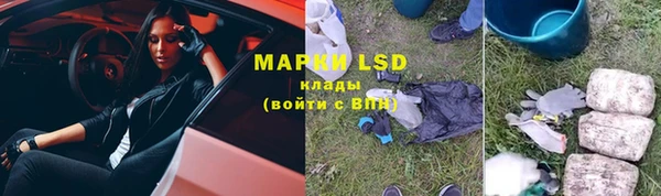 шишки Абаза