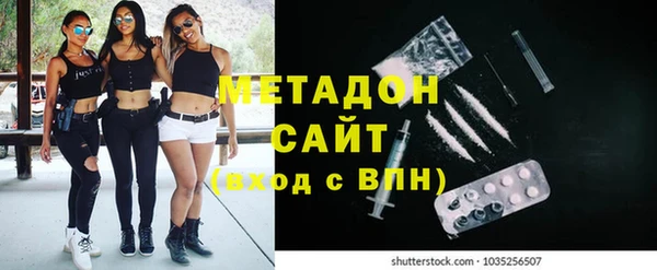 шишки Абаза