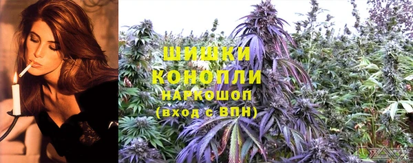 шишки Абаза