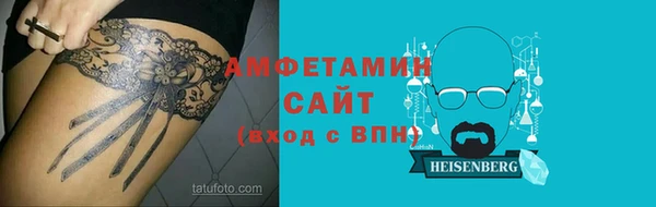 шишки Абаза