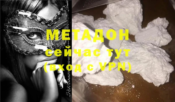 шишки Абаза