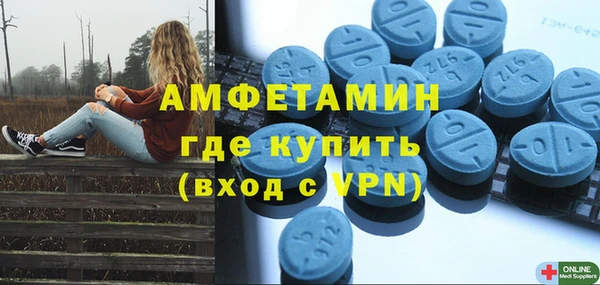 шишки Абаза