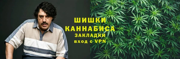 шишки Абаза