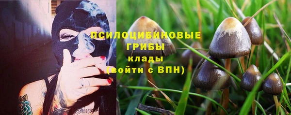 шишки Абаза