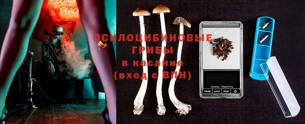 соль ск Алексеевка