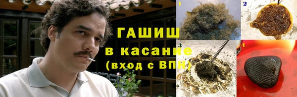шишки Абаза