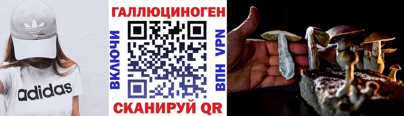 Псилоцибиновые грибы Magic Shrooms  ссылка на мегу ТОР  Сухой Лог 